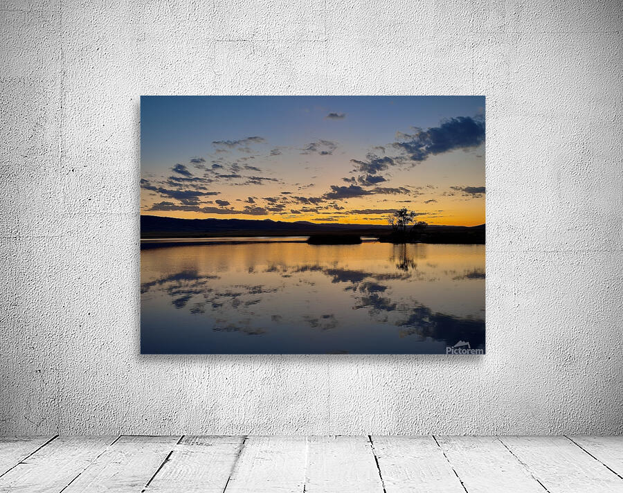 Right side up Wall Preview