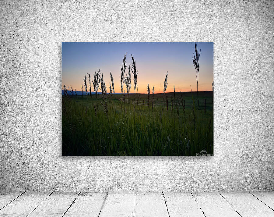 Grass Sunset Wall Preview