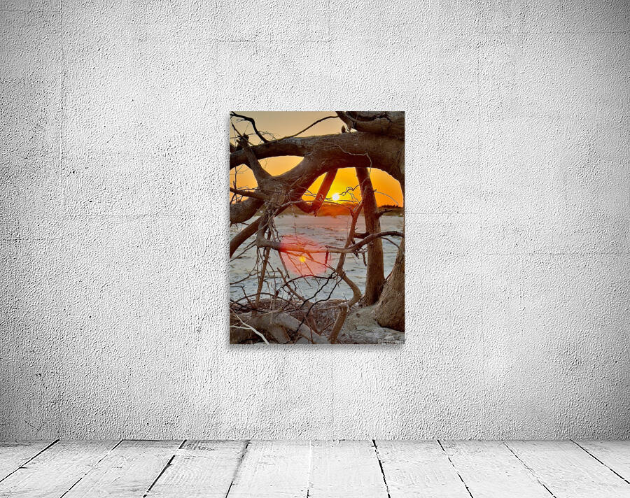 Driftwood sunset  Wall Preview