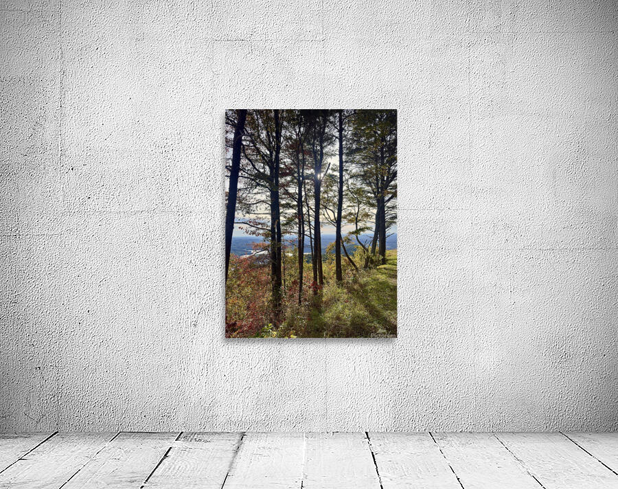 Fall is near  Wall Preview