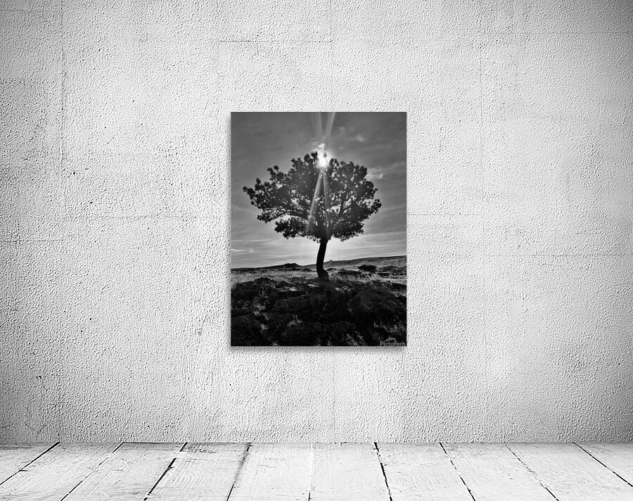 Lone Tree Hill  Wall Preview