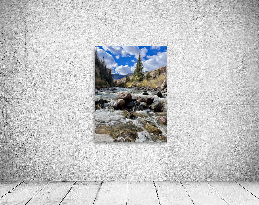 Gurgling stream  Wall Preview