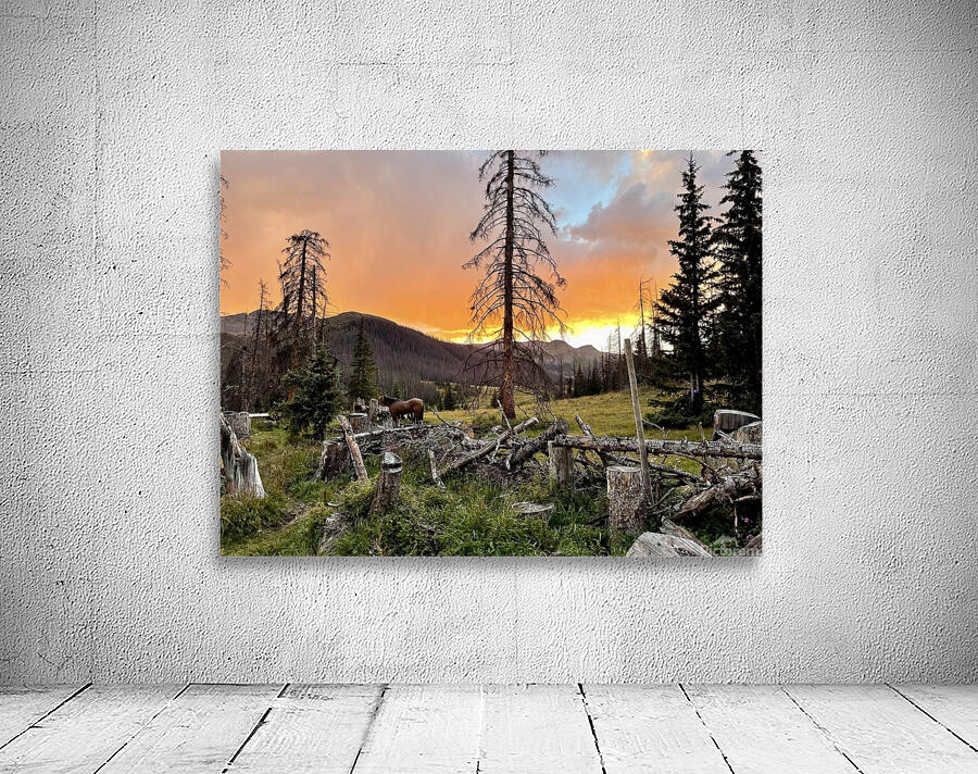 High Mountain Camp Sunset  Wall Preview