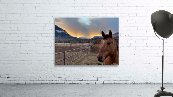 Watching Sunset  Wall Preview