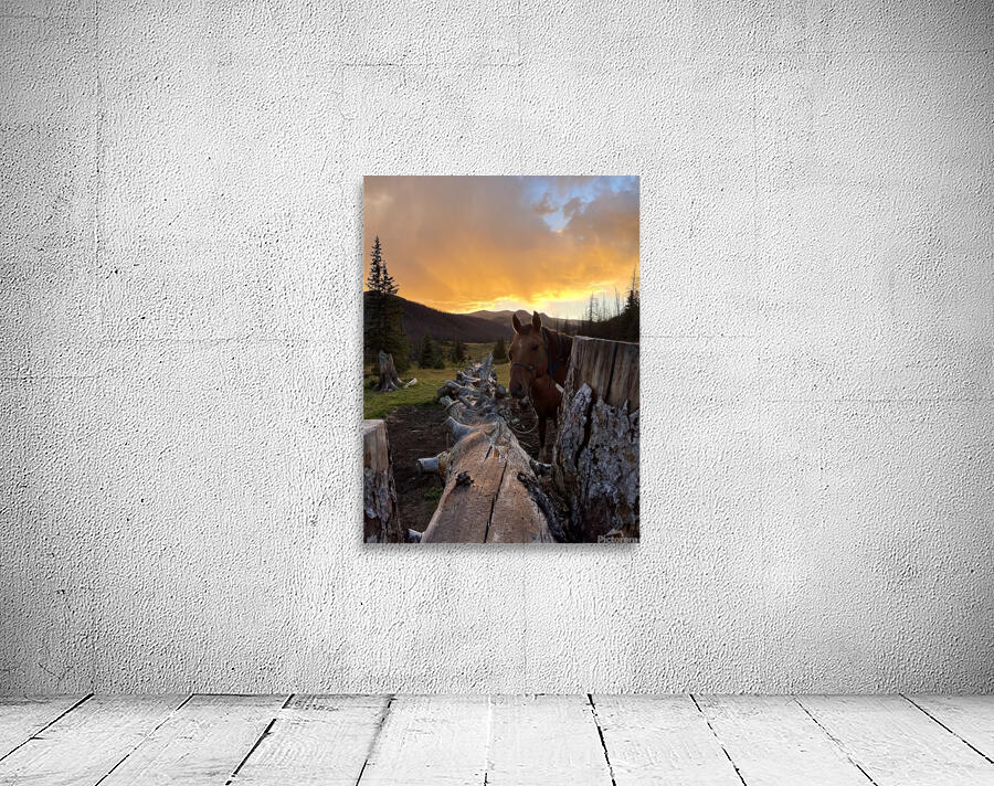Watching Sunset Wall Preview
