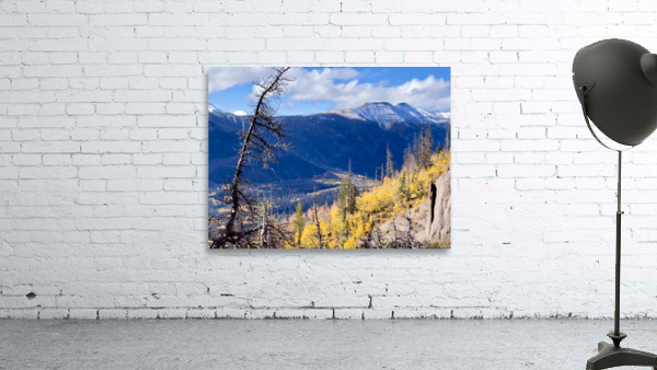 Mountain vista Wall Preview
