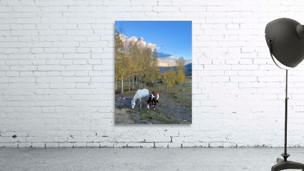 Sunset Grazing Wall Preview