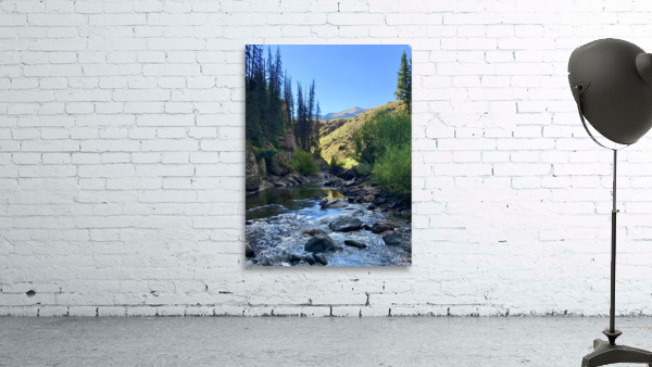 Stream Reflections Wall Preview