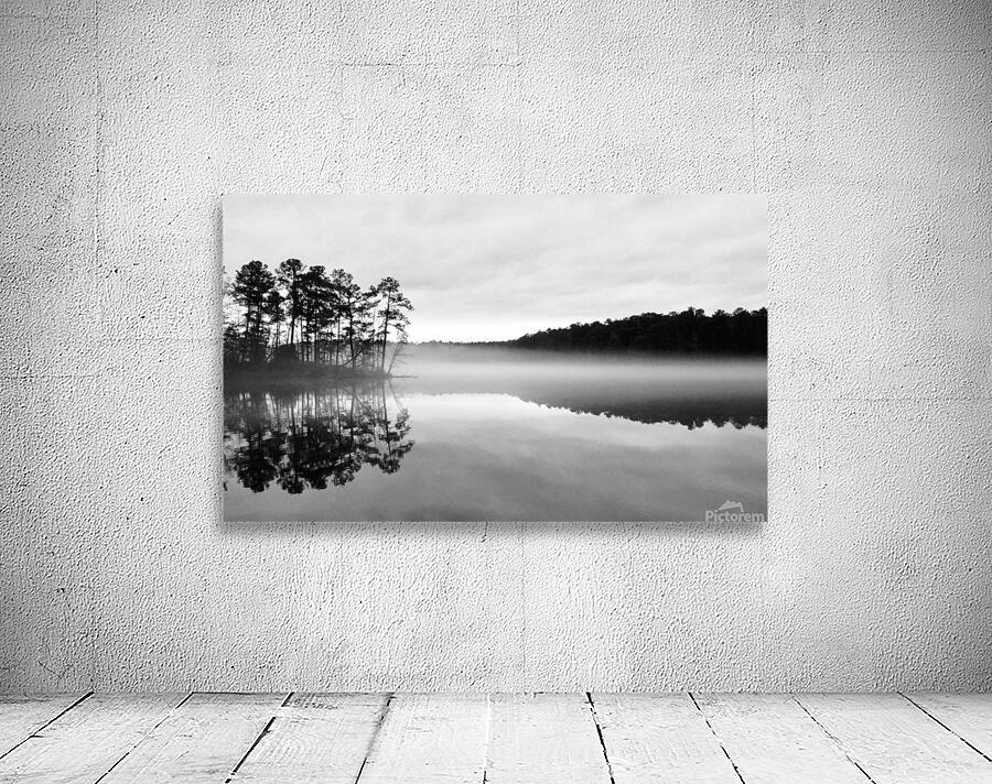 Foggy Reflections Wall Preview