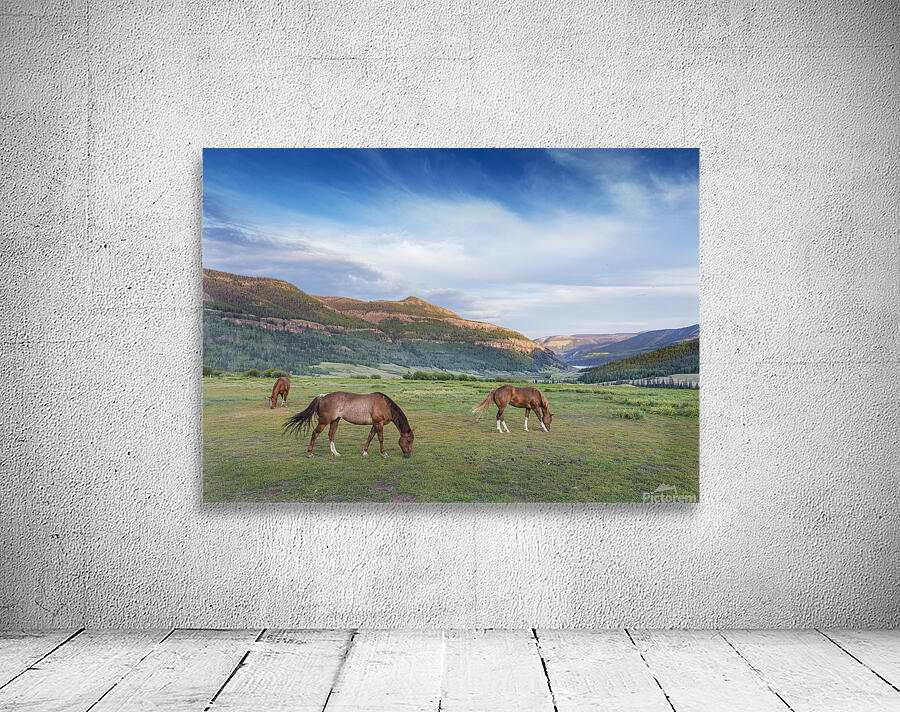 Good Grazing Wall Preview