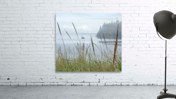 Dozing in the grass Wall Preview