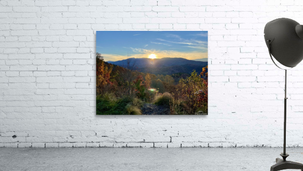 Burl Gap Overlook Wall Preview