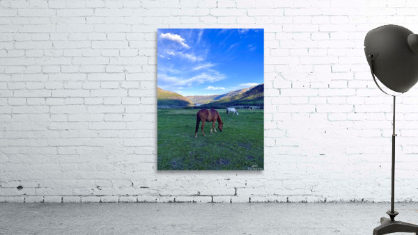  Peaceful Grazing  Wall Preview