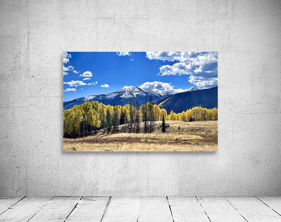 Aspen line  Wall Preview