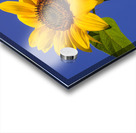 ArtPhotos244 Acrylic print