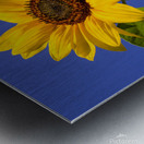 ArtPhotos244 Metal print