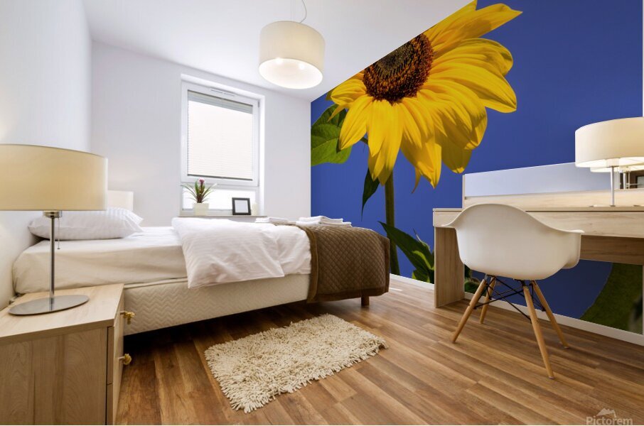 ArtPhotos244 Mural print