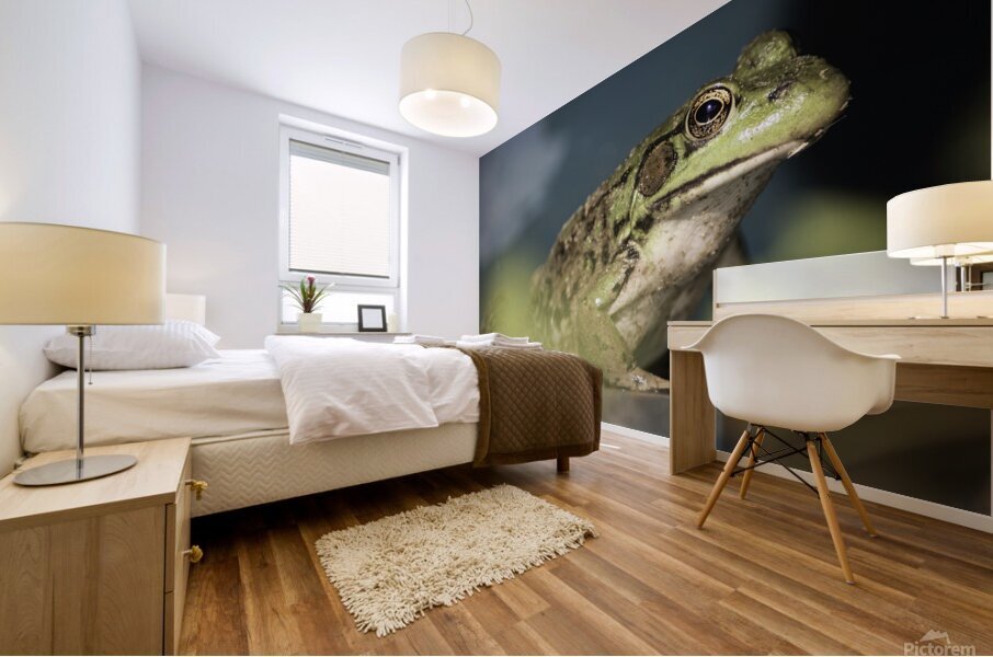 A frogs portrait Mural print