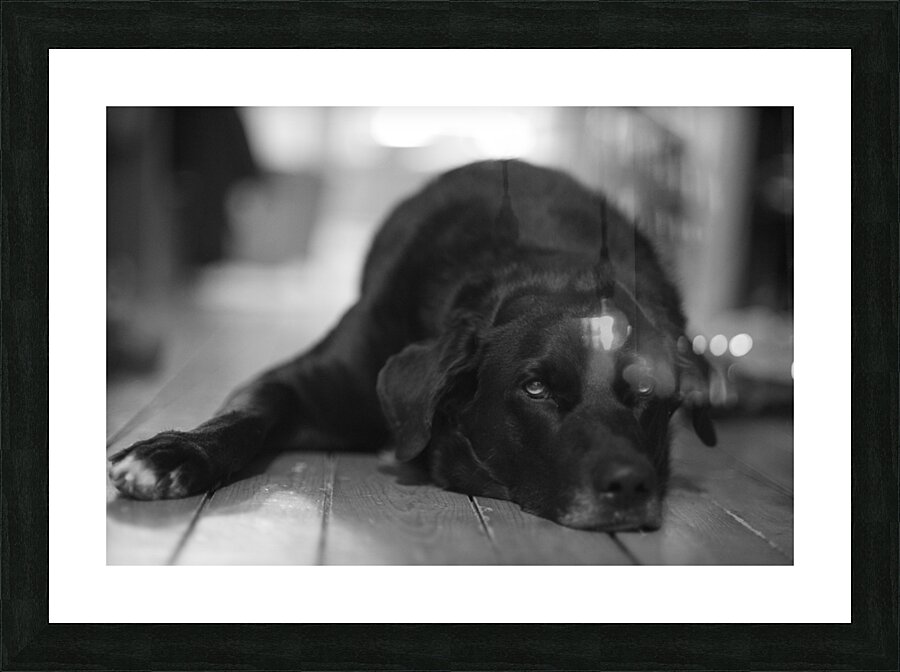 Old good boy Picture Frame print