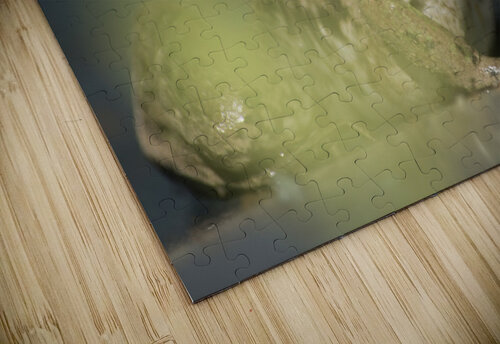 A frogs portrait Rodney Allan Gardner puzzle