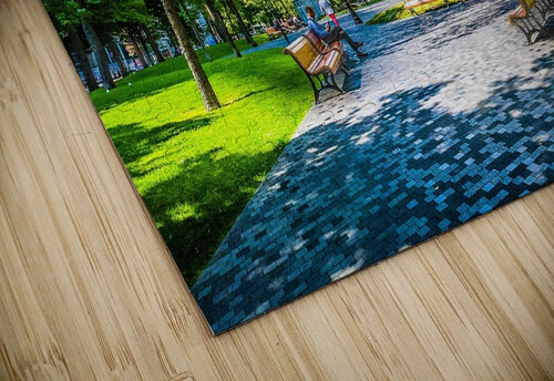Park life Rodney Allan Gardner puzzle