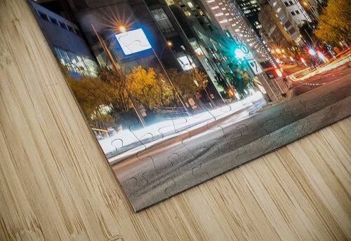 Montreal lights Rodney Allan Gardner puzzle