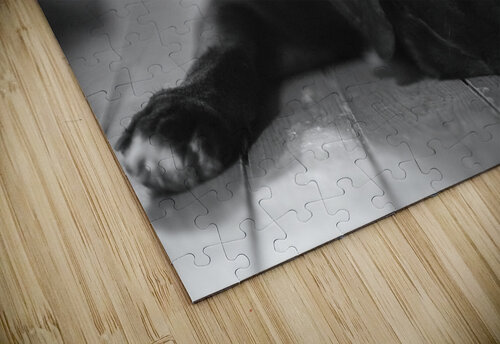 Old good boy Rodney Allan Gardner puzzle