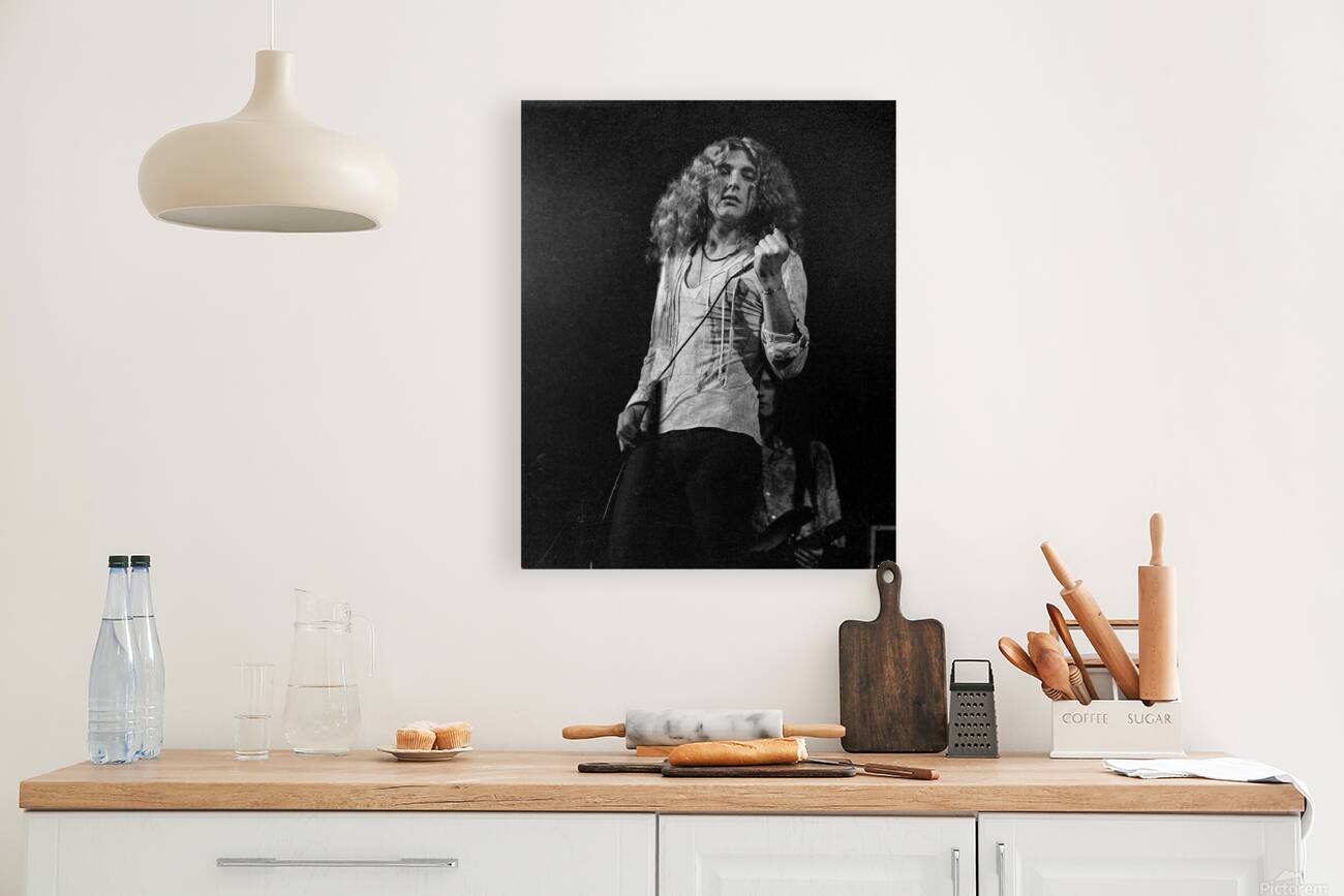 Robert Plant Reproduction