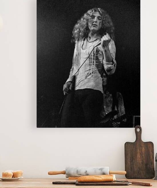 Robert Plant by Rodney Allan Gardner