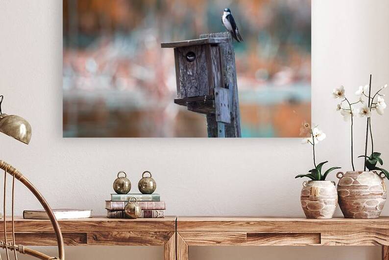 Bird Condo by Rodney Allan Gardner