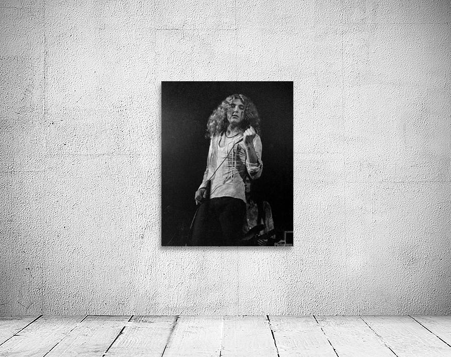Robert Plant Wall Preview