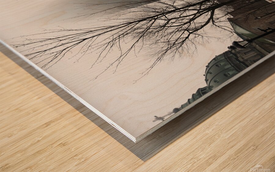 Montreal Monuments Wood print