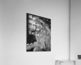 cradled 30x40. Acrylic Print