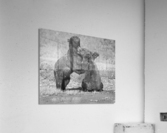 bear dance 35x30 Acrylic Print