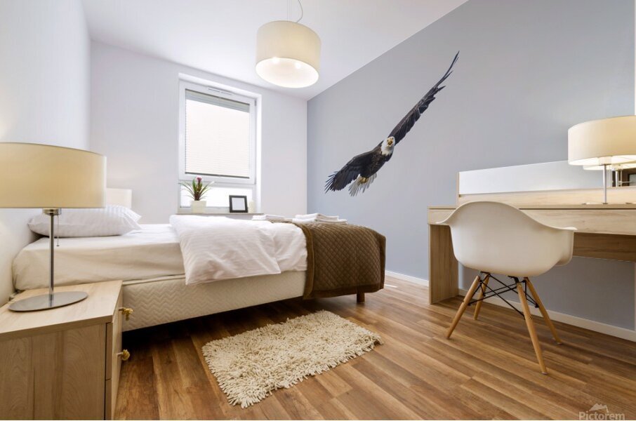 eagle in flight Mural print