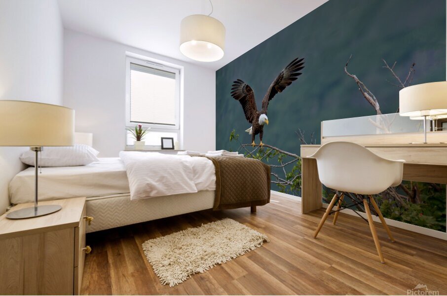 eagle landing Mural print