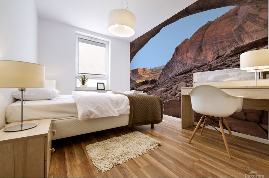 cave dwelling Mural print