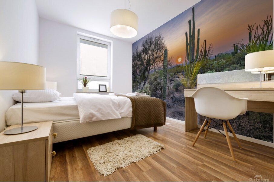 desert sundown Mural print