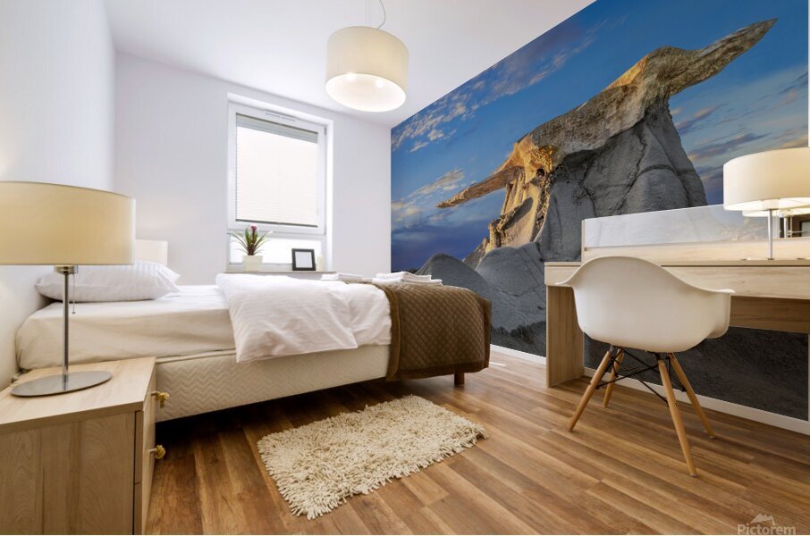 bisti treasures Mural print