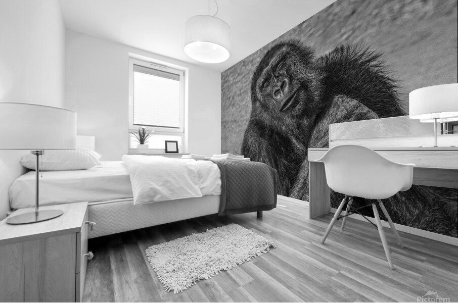 contented  30x20 Mural print