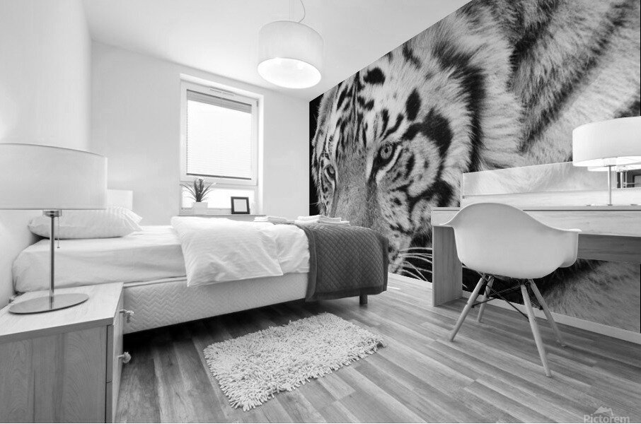 big cat 35x40 Mural print