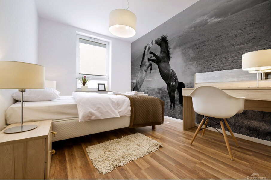 gladiators 30x40 Mural print