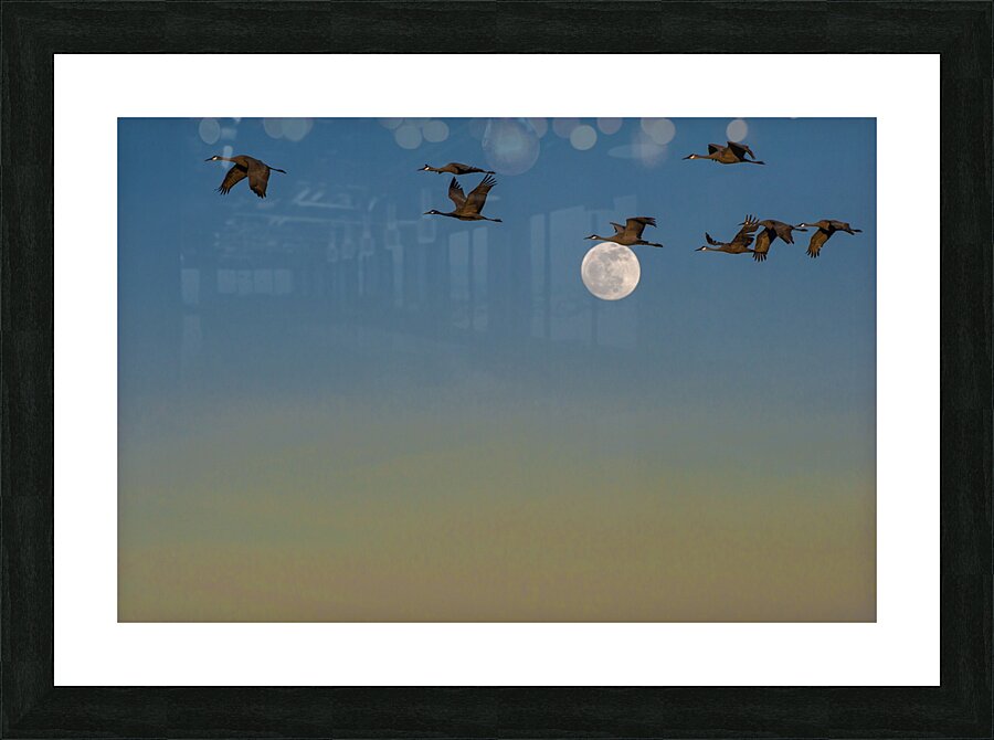 over the moon Picture Frame print