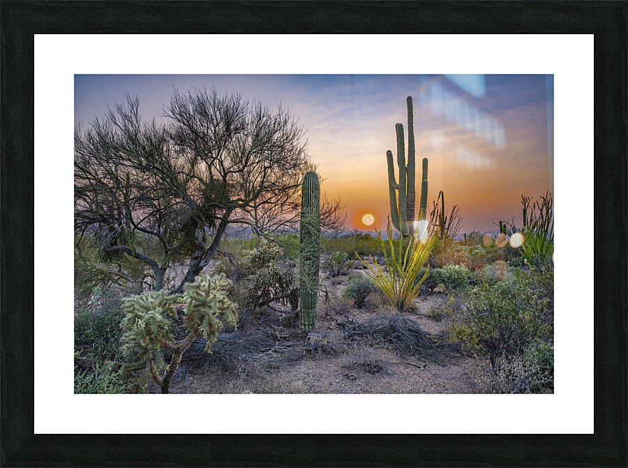desert sundown Picture Frame print
