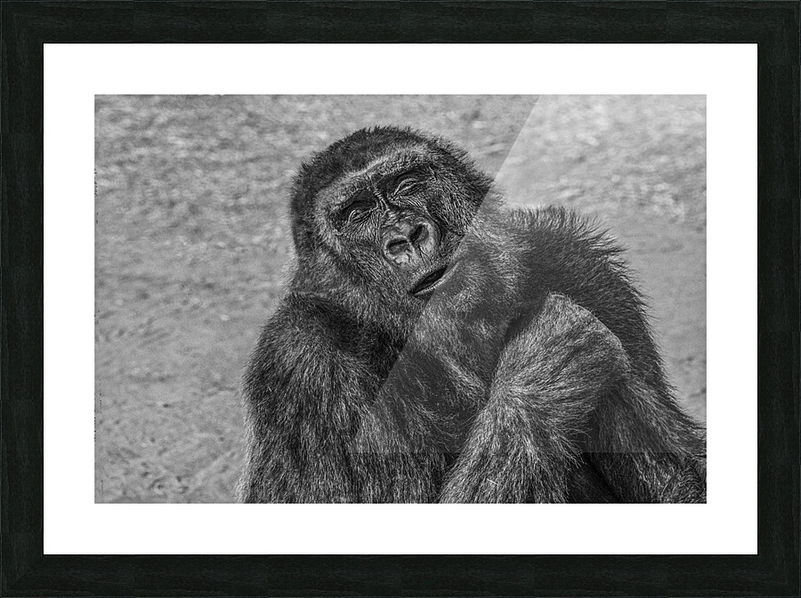 contented  30x20 Picture Frame print
