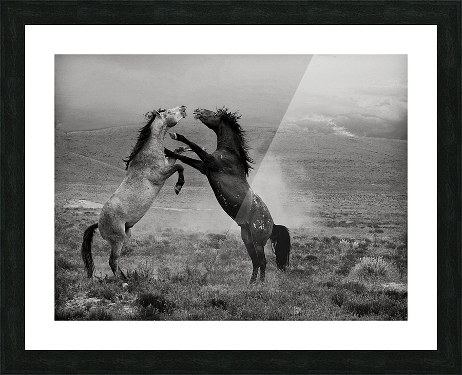 gladiators 30x40 Picture Frame print