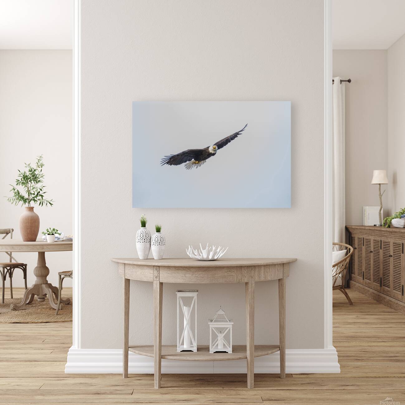 eagle in flight Reproduction
