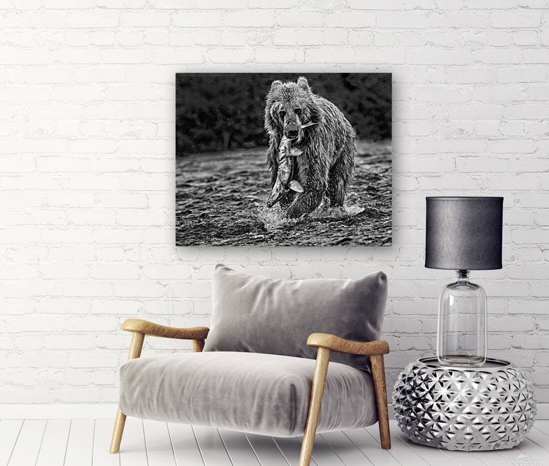 bear and fish b:w Reproduction
