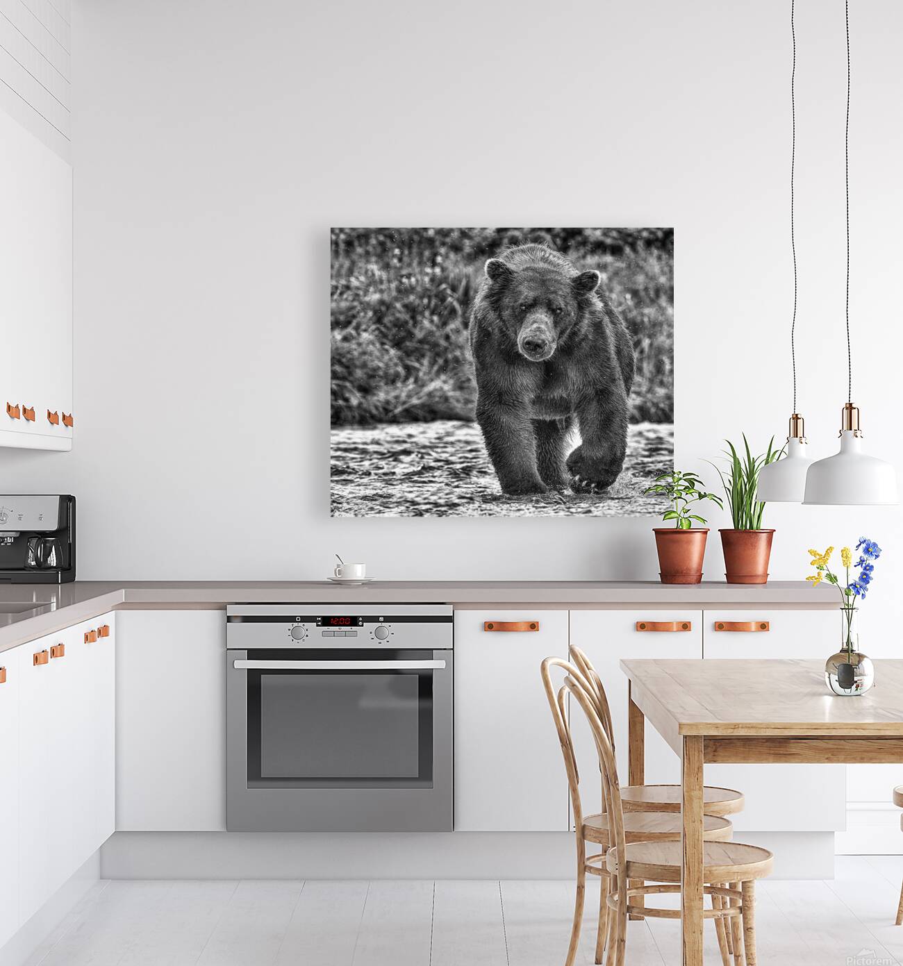 bear stare b:w Reproduction