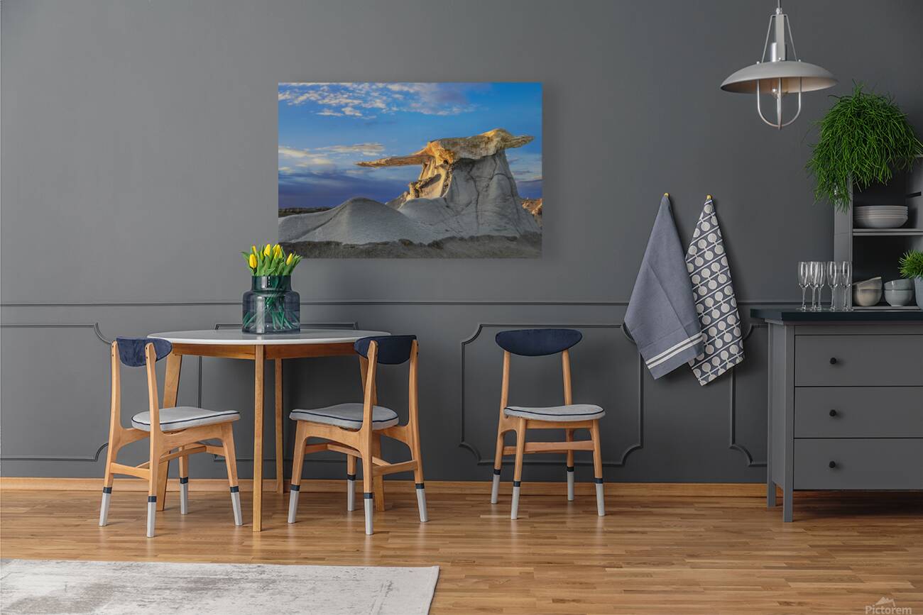 bisti treasures Reproduction